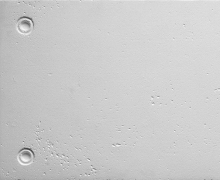 Pannello Cemento precompresso